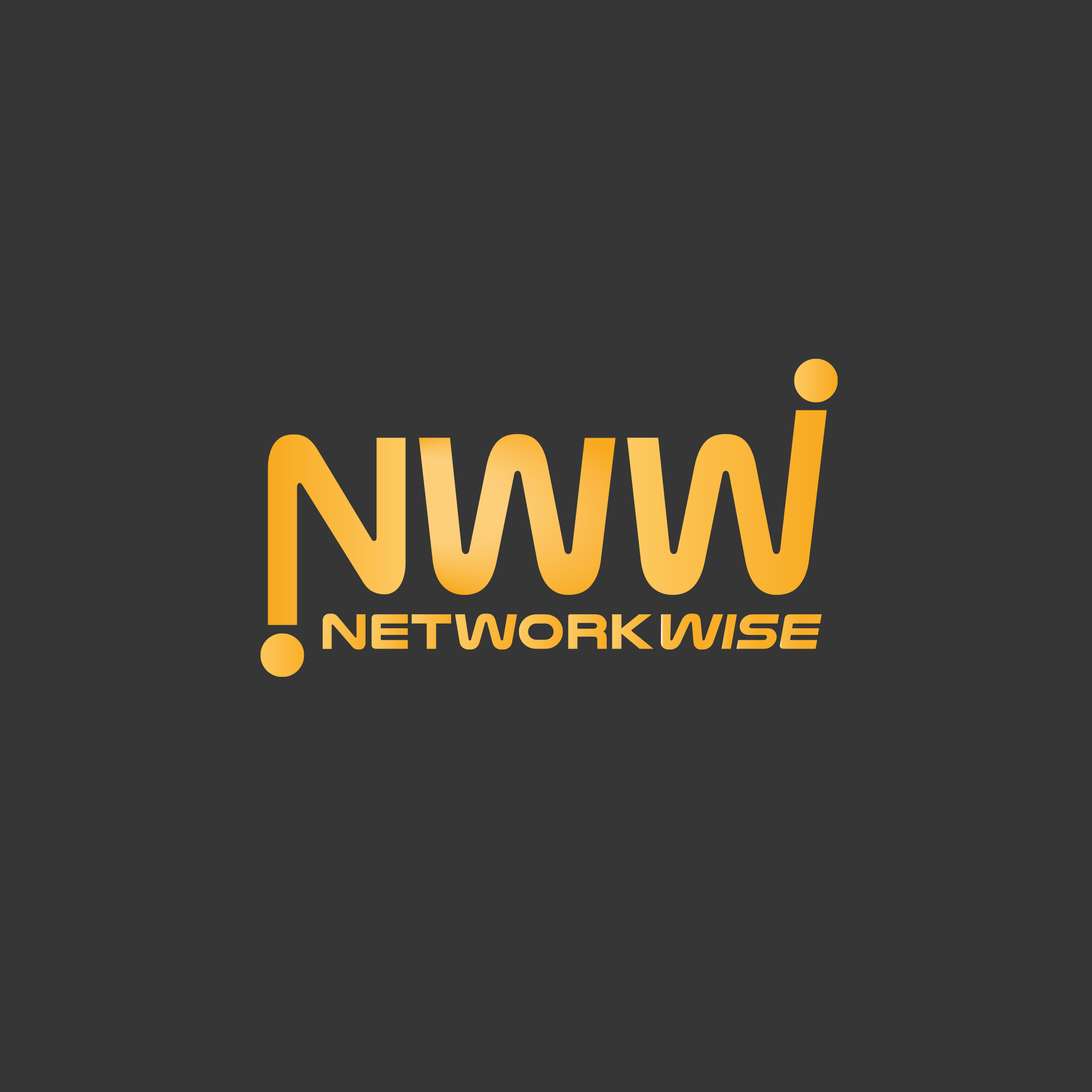 Networkwise SA (Pty) Ltd